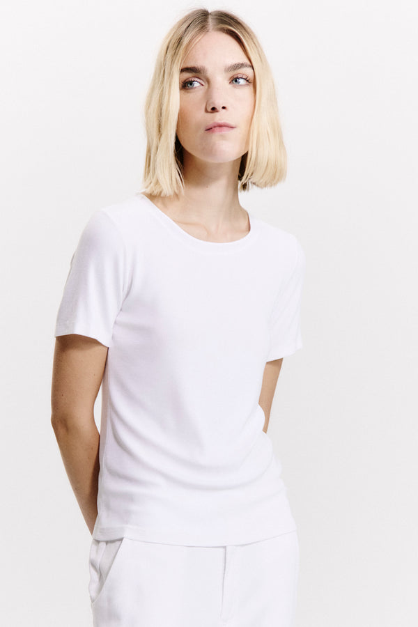 TRANSIT 125I180 SS T SHIRT