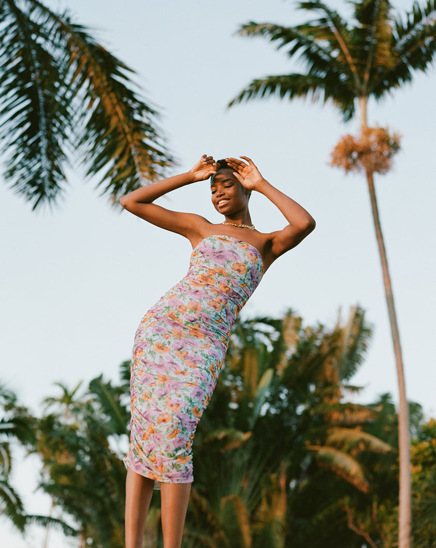 VERONICA BEARD QUIANA DRESS